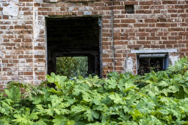 Mavi gökyüzüne karşı yeşil ağaçların arasında eski bir malikanenin kalıntıları.