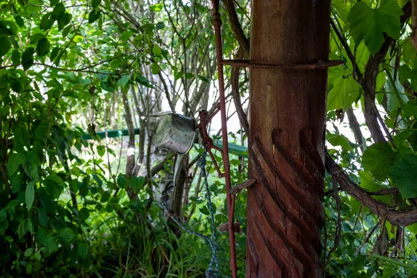 野生動物の生息地への暴露は — ストック写真