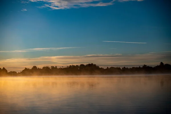 Mgła Jeziorze Przez Zielone Trzciny Wschodzie Słońca — Zdjęcie stockowe