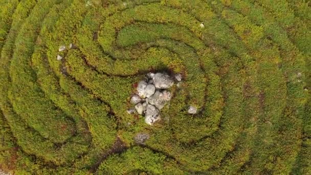 Antike Labyrinthe Auf Einer Einsamen Insel Weißen Meer Sommer Von — Stockvideo