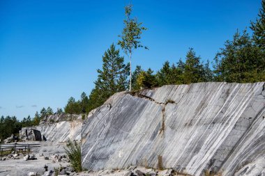 Doğal bir anıtın çam ormanında işlenmiş mermer bloklar.
