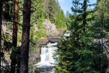 Dağların kuzey şelalesi vahşi ormandaki ağaçların arasında.