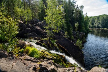 Dağların kuzey şelalesi vahşi ormandaki ağaçların arasında.
