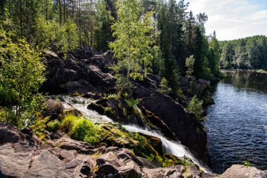 Dağların kuzey şelalesi vahşi ormandaki ağaçların arasında.