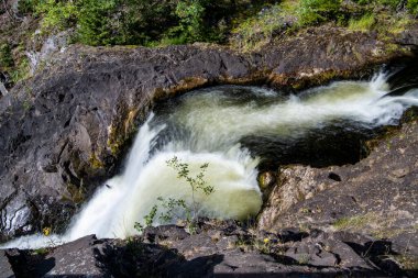 Dağların kuzey şelalesi vahşi ormandaki ağaçların arasında.