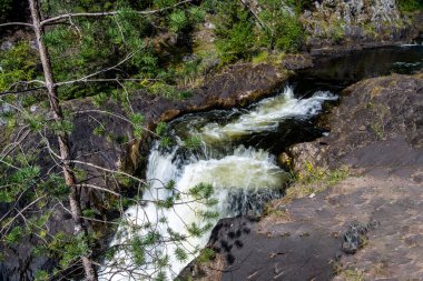 Dağların kuzey şelalesi vahşi ormandaki ağaçların arasında.
