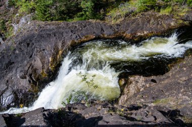 Dağların kuzey şelalesi vahşi ormandaki ağaçların arasında.