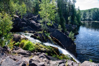 Dağların kuzey şelalesi vahşi ormandaki ağaçların arasında.