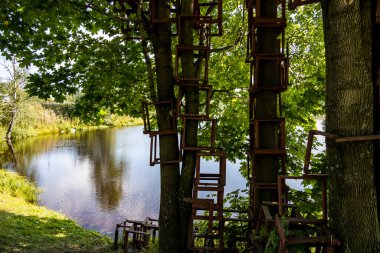 Emekli, parkta güneşin altında bir tuzağın üzerinde uyuyakalmış.