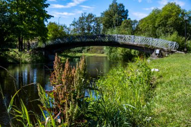 Emekli, parkta güneşin altında bir tuzağın üzerinde uyuyakalmış.