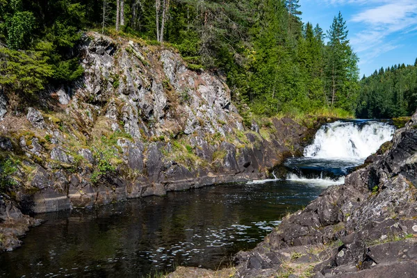 Dağların kuzey şelalesi vahşi ormandaki ağaçların arasında.
