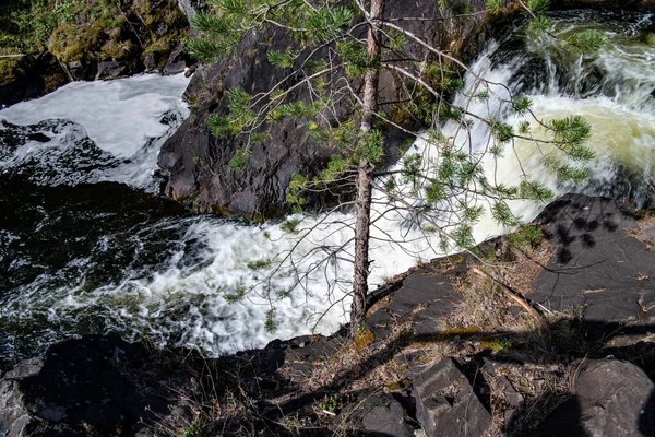 Montanha Cachoeira Norte Entre Árvores Floresta Selvagem — Fotografia de Stock