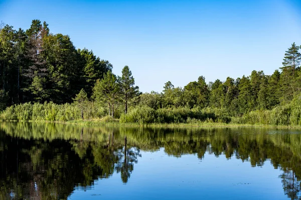Kuzey yaz mevsiminde göl ağaçları kayalık kıyılar ve su yansımaları