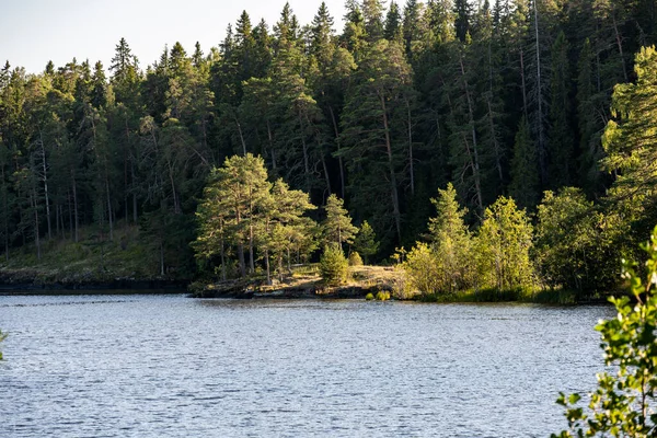 Kuzey yaz mevsiminde göl ağaçları kayalık kıyılar ve su yansımaları
