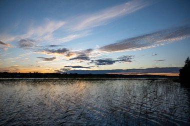 Büyük bir gölde gün batımı Ağaçlar ve kamışlarla