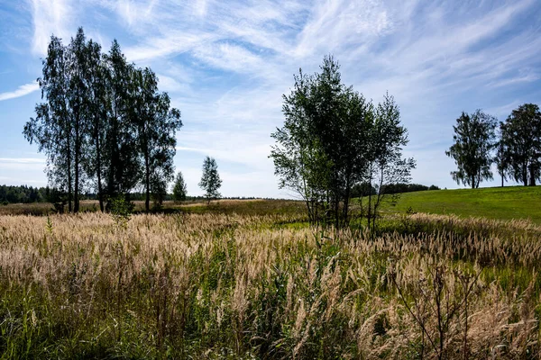 1812 savaşının yaşandığı Borodino arazisindeki eski bir manastır ve çevresi insansız hava aracından filme alındı.