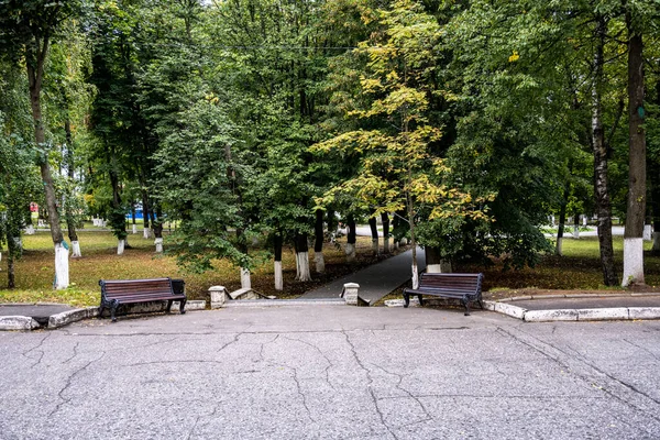 Yaz parkında kahverengi ahşap bank