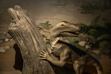 Soyu tükenmiş eski bir etobur hayvan modeli.