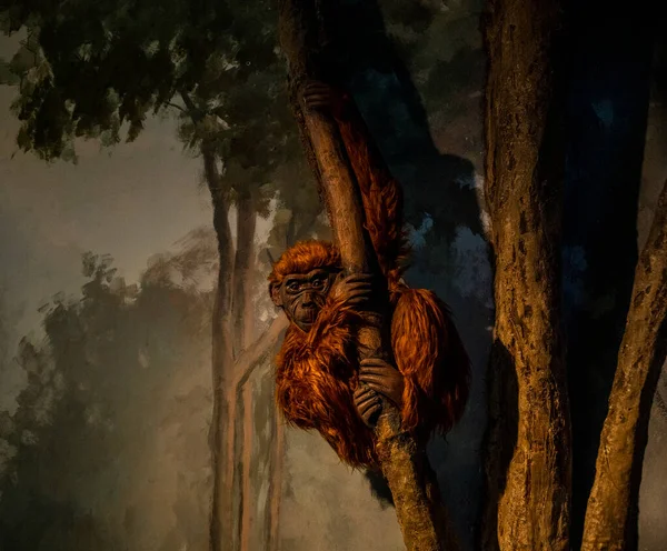 Menina Rosa Estudos Natureza Museus História Natural — Fotografia de Stock