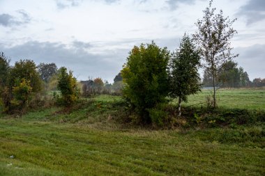Karayolunda yoğun sabah sisi ve güneş doğarken yakındaki sarı-yeşil tarlalar.