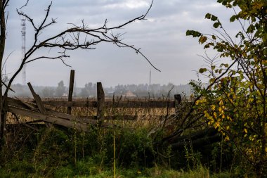 Karayolunda yoğun sabah sisi ve güneş doğarken yakındaki sarı-yeşil tarlalar.