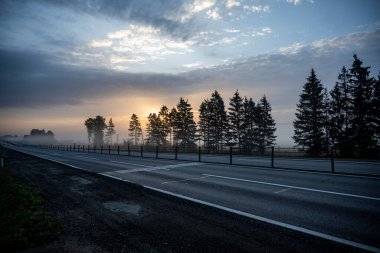 Karayolunda yoğun sabah sisi ve güneş doğarken yakındaki sarı-yeşil tarlalar.