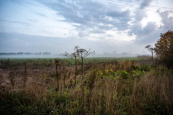 Thick Morning Fog Highway Yellow Green Fields Nearby Sunrise — Stock Photo, Image