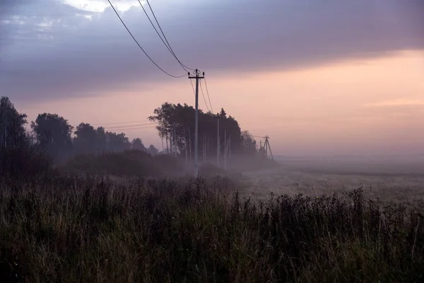 Thick Morning Fog Highway Yellow Green Fields Nearby Sunrise — Stock Photo, Image