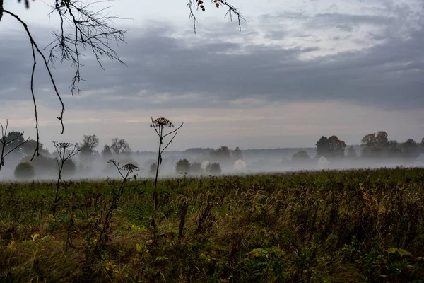 Thick Morning Fog Highway Yellow Green Fields Nearby Sunrise — Stock Photo, Image