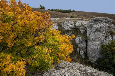Sonbaharda mavi gökyüzü arkaplanlı dağ manzarası