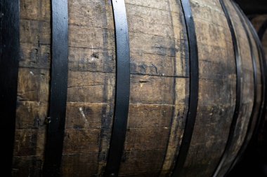 Şarap mahzenlerinde büyük meşe fıçıları var.