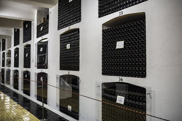 Old Bottles Wine Stored Special Cellars Stored Using Special Technology — Stock Photo, Image