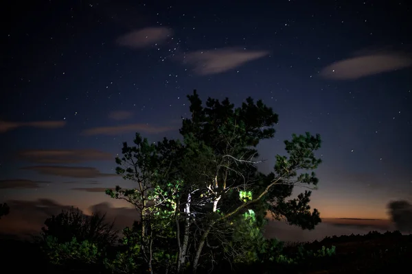 Paisaje Nocturno Con Montañas Con Estrellas — Foto de Stock