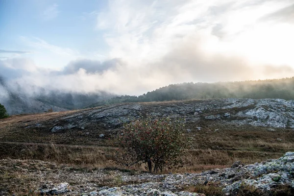 Salida Del Sol Las Montañas Con Niebla Matutina Desde Principios — Foto de Stock