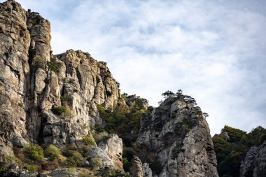 Dağların ve vadinin panoramik manzarasına karşı yeşil çam ağaçları ve sonbahar gökyüzü