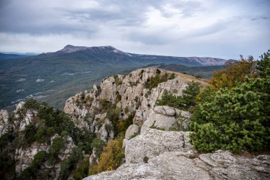 Dağların ve vadinin panoramik manzarasına karşı yeşil çam ağaçları ve sonbahar gökyüzü