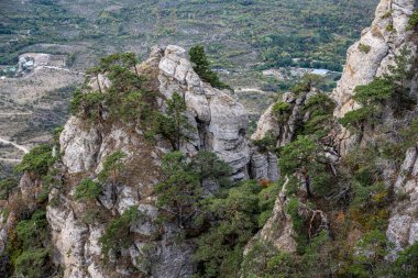 Dağların ve vadinin panoramik manzarasına karşı yeşil çam ağaçları ve sonbahar gökyüzü