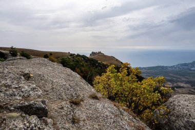 Dağların ve vadinin panoramik manzarasına karşı yeşil çam ağaçları ve sonbahar gökyüzü