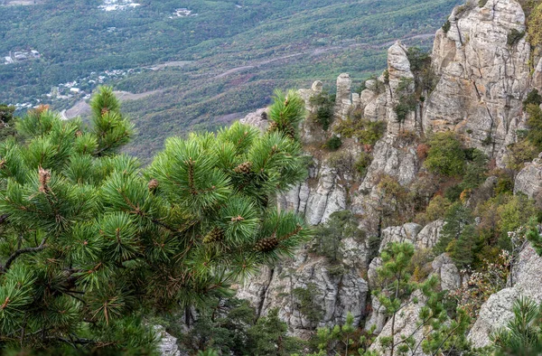 Dağların Vadinin Panoramik Manzarasına Karşı Yeşil Çam Ağaçları Sonbahar Gökyüzü — Stok fotoğraf