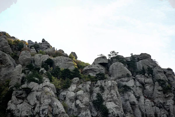 Dağların Vadinin Panoramik Manzarasına Karşı Yeşil Çam Ağaçları Sonbahar Gökyüzü — Stok fotoğraf