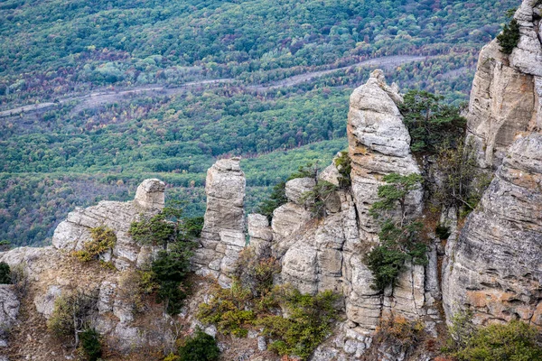 Панорамний Вид Гори Долину Тлі Зелених Сосен Осіннього Неба — стокове фото