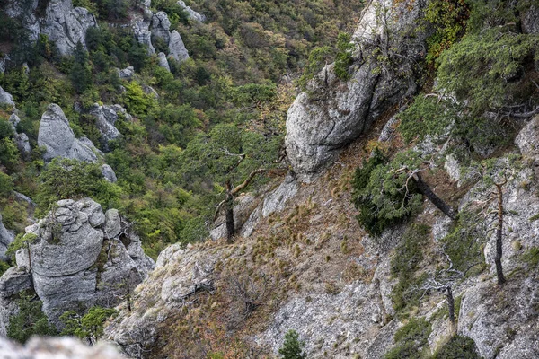 在青松树和秋天天空的背景下俯瞰群山和山谷的全景 — 图库照片