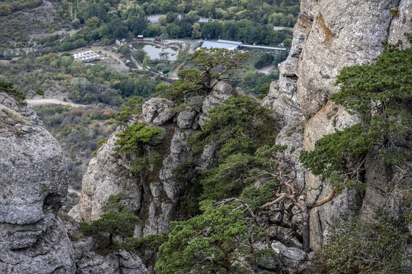 在青松树和秋天天空的背景下俯瞰群山和山谷的全景 — 图库照片