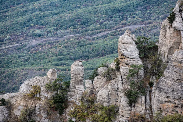Панорамний Вид Гори Долину Тлі Зелених Сосен Осіннього Неба — стокове фото