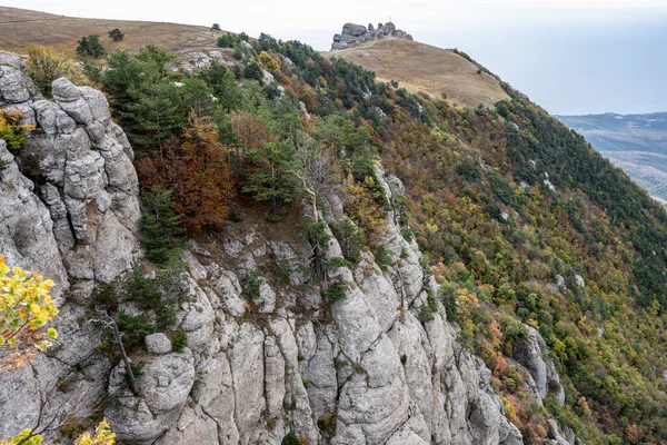 Vista Panoramica Sulle Montagne Sulla Valle Sullo Sfondo Pini Verdi — Foto Stock