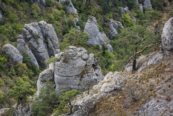 Panoramisch Uitzicht Bergen Vallei Tegen Achtergrond Van Groene Pijnbomen Herfstlucht — Stockfoto