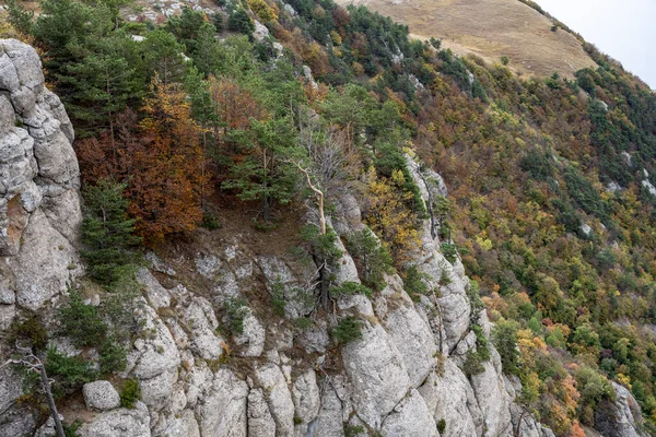 在青松树和秋天天空的背景下俯瞰群山和山谷的全景 — 图库照片