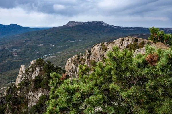 Dağların ve vadinin panoramik manzarasına karşı yeşil çam ağaçları ve sonbahar gökyüzü