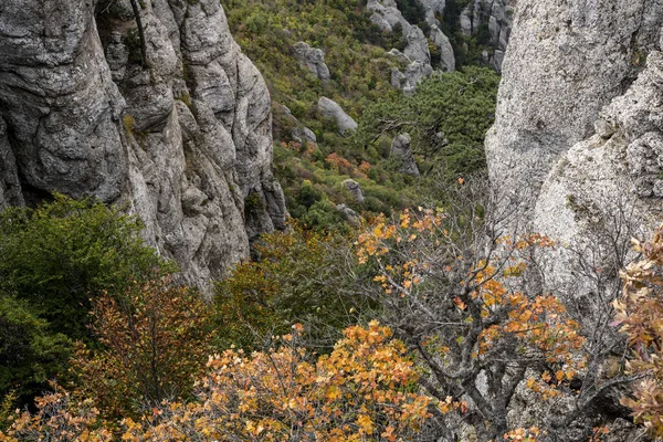 Vue Panoramique Sur Les Montagnes Vallée Sur Fond Pins Verts — Photo