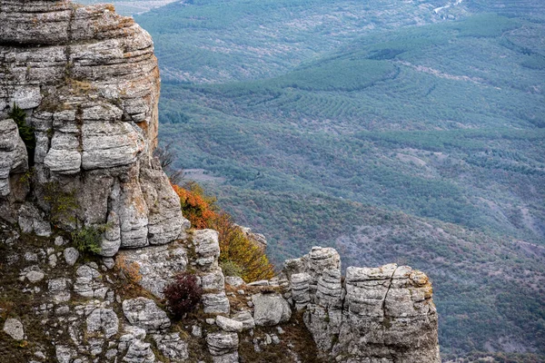 Dağların Vadinin Panoramik Manzarasına Karşı Yeşil Çam Ağaçları Sonbahar Gökyüzü — Stok fotoğraf